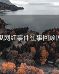 每日吃瓜网红事件往事回顾因果梳理