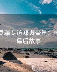 杏吧网页端专访郑调查员：粉丝应援幕后故事