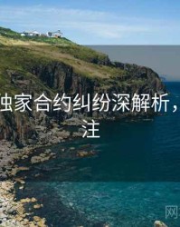 91在线独家合约纠纷深解析，值得关注