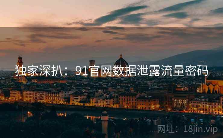 独家深扒：91官网数据泄露流量密码