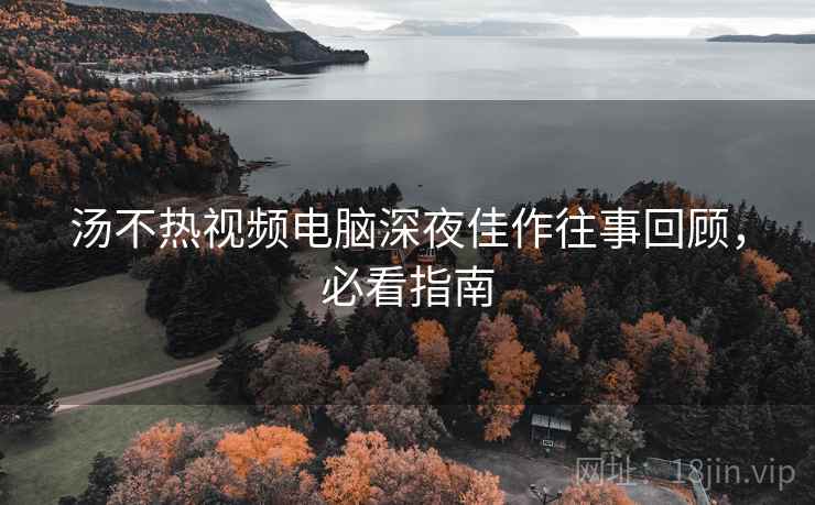 汤不热视频电脑深夜佳作往事回顾，必看指南