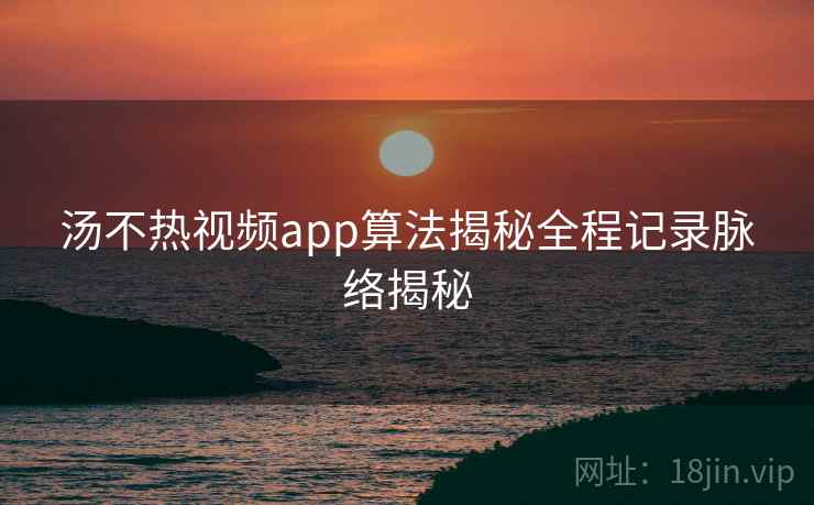 汤不热视频app算法揭秘全程记录脉络揭秘