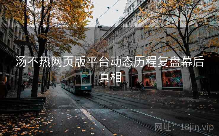 汤不热网页版平台动态历程复盘幕后真相 汤不热网页版平台动态历程复盘幕后真相